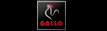 Gallo